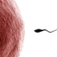 Image for article titled Thoughtful Gentlemen Are Obsessed With Male Contraception